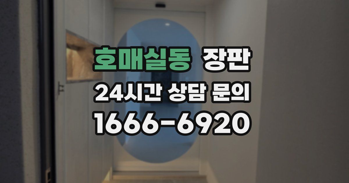 호매실동 장판
