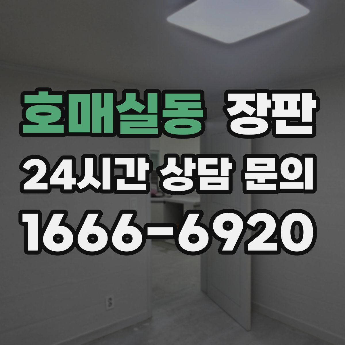 호매실동 장판