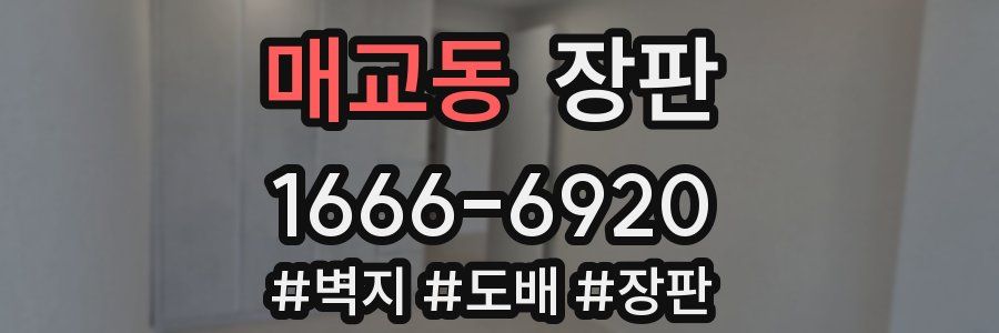 매교동 장판