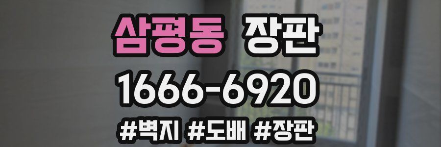 삼평동 장판