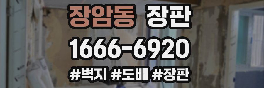 장암동 장판