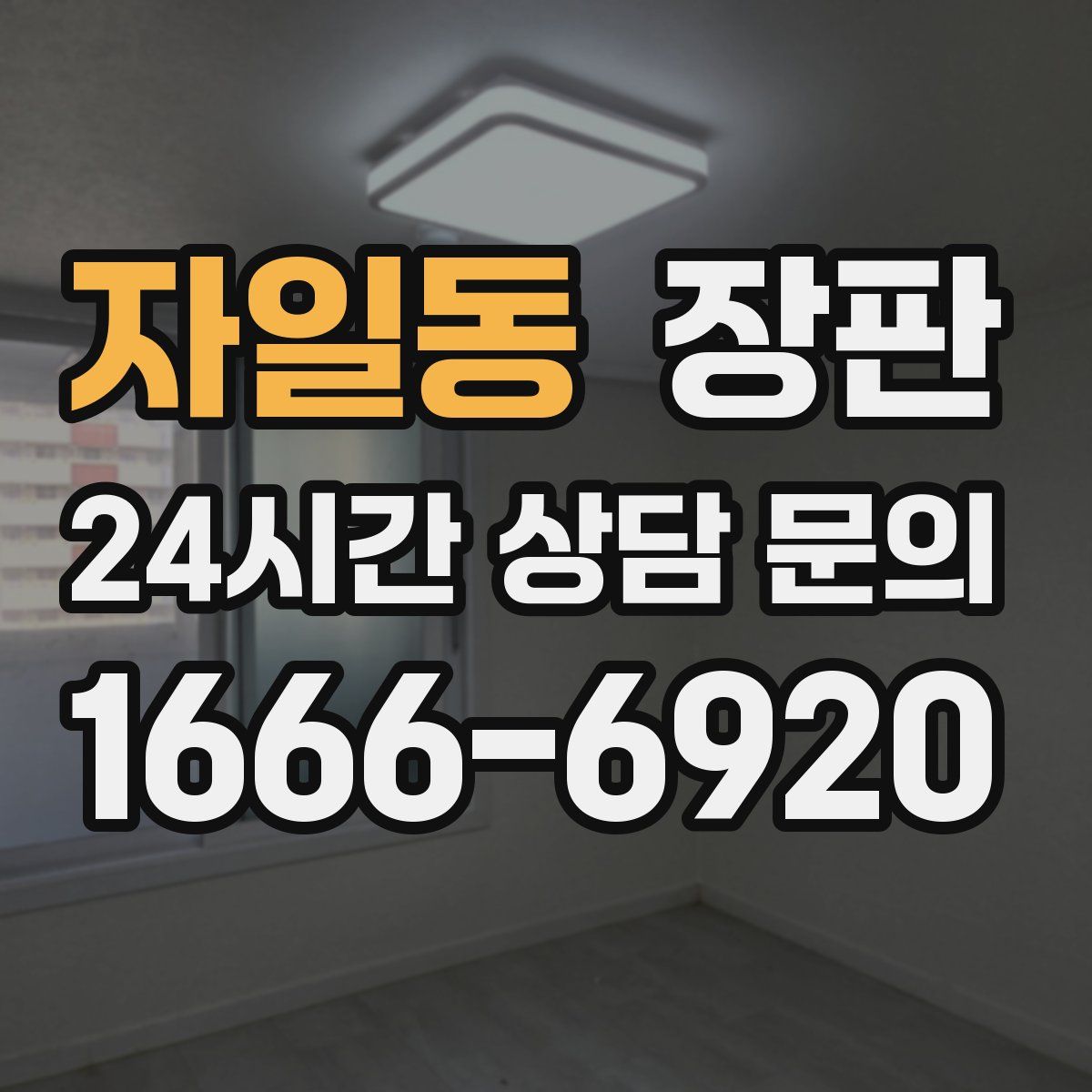 자일동 장판