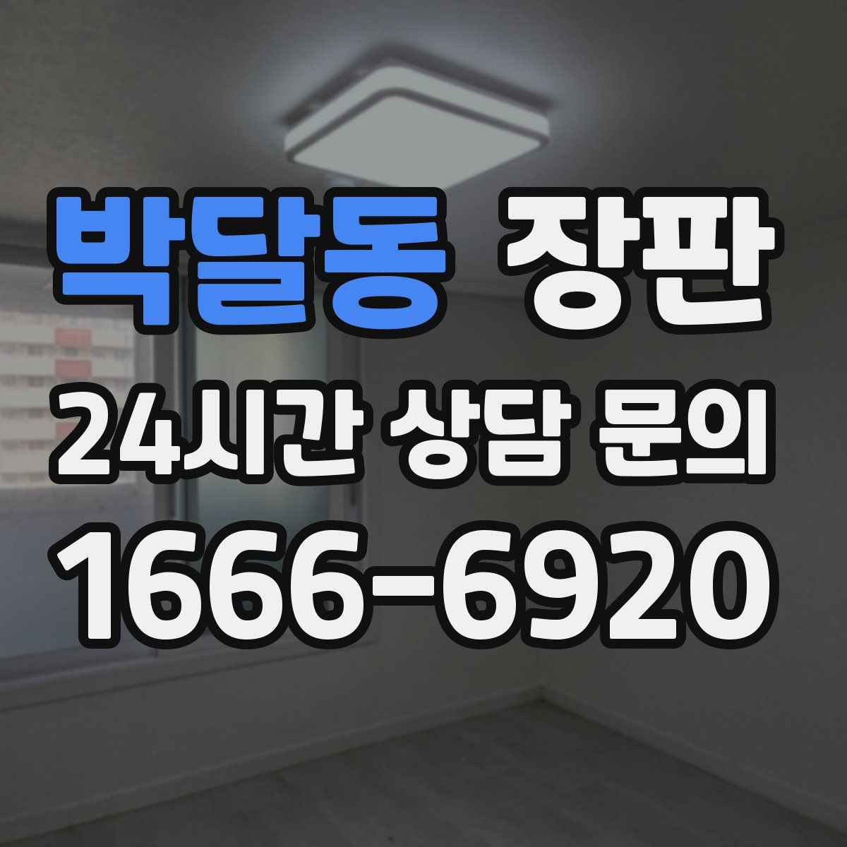 박달동 장판