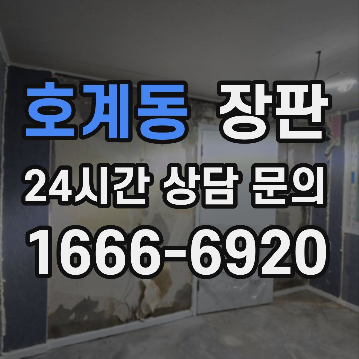 호계동 장판