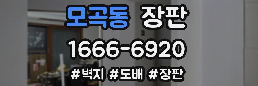 모곡동 장판