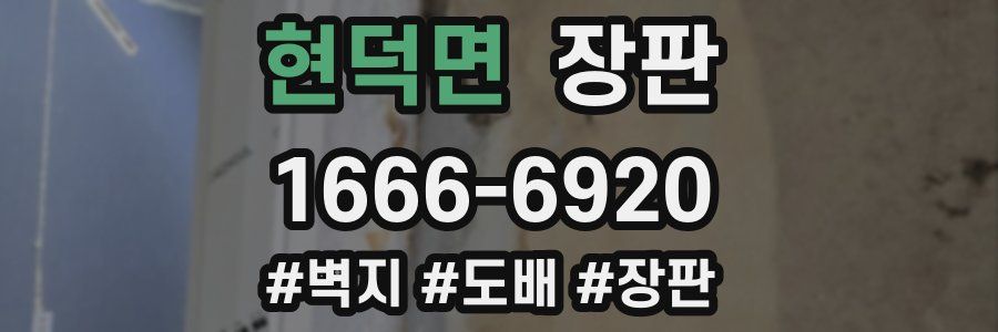 현덕면 장판