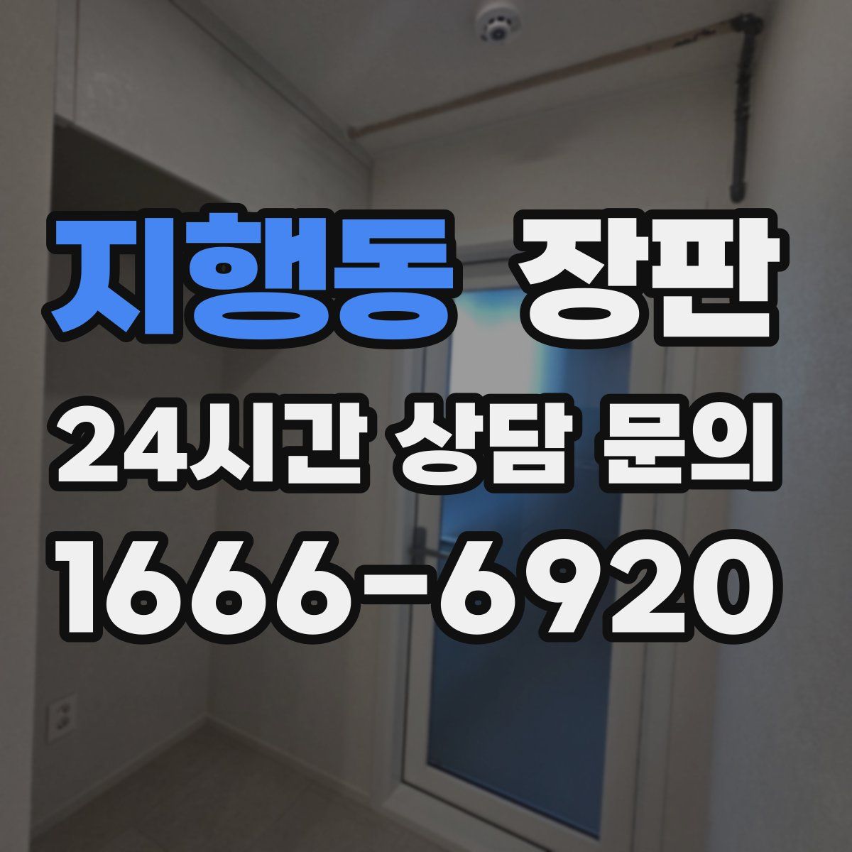 지행동 장판
