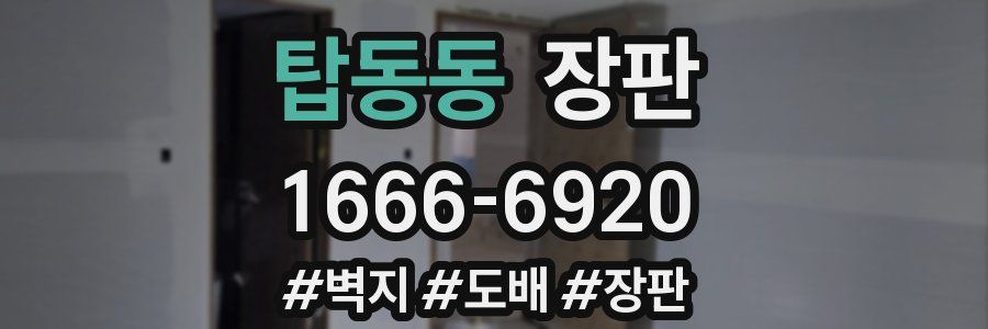 탑동동 장판