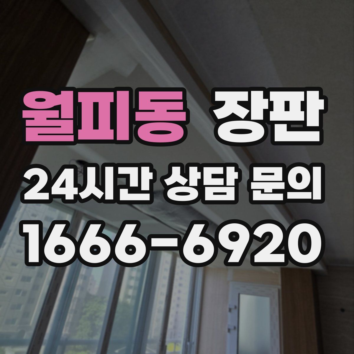 월피동 장판
