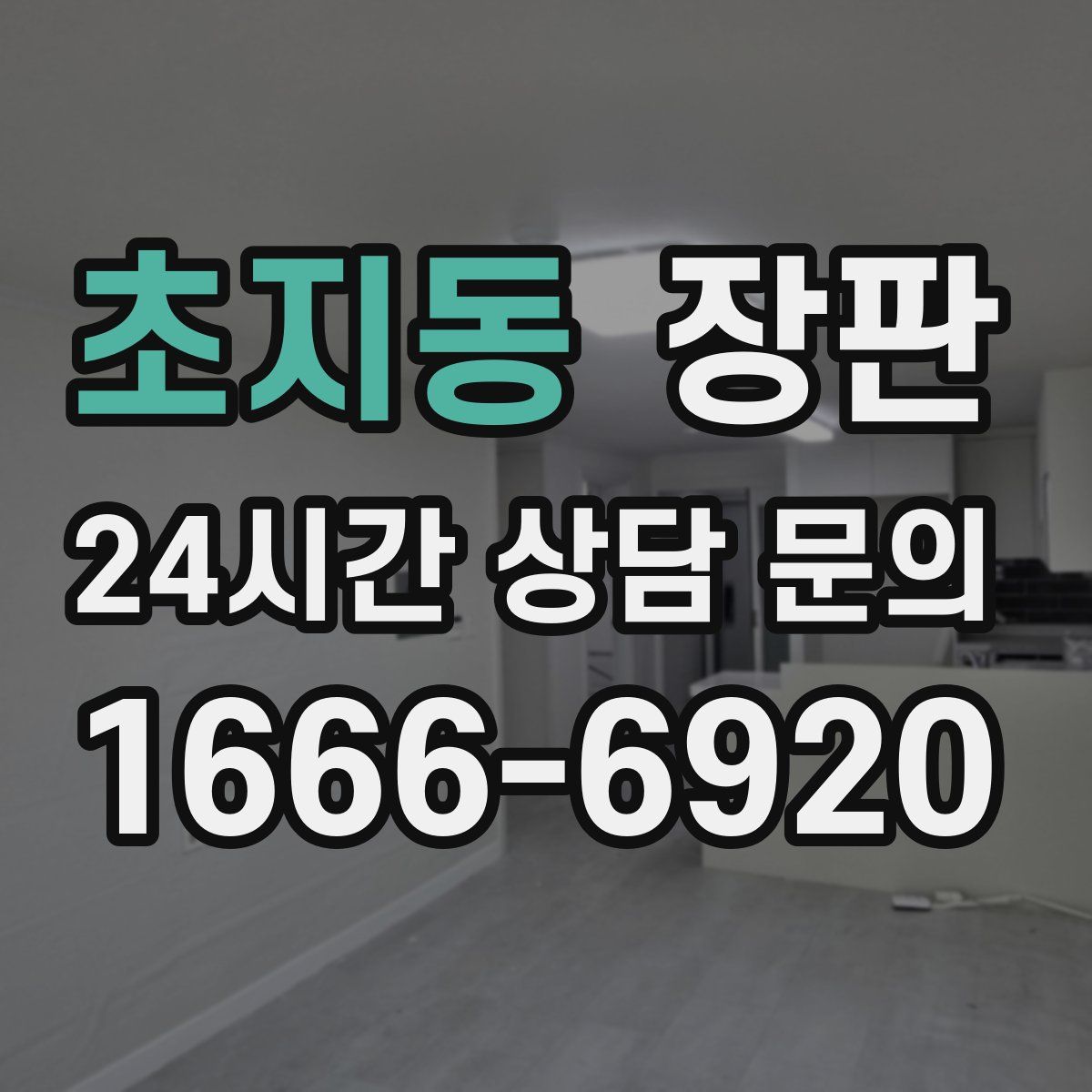 초지동 장판