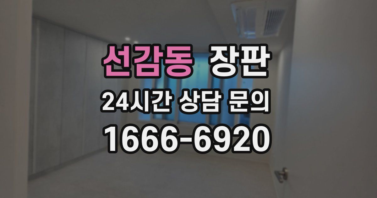 선감동 장판
