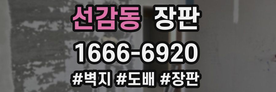 선감동 장판