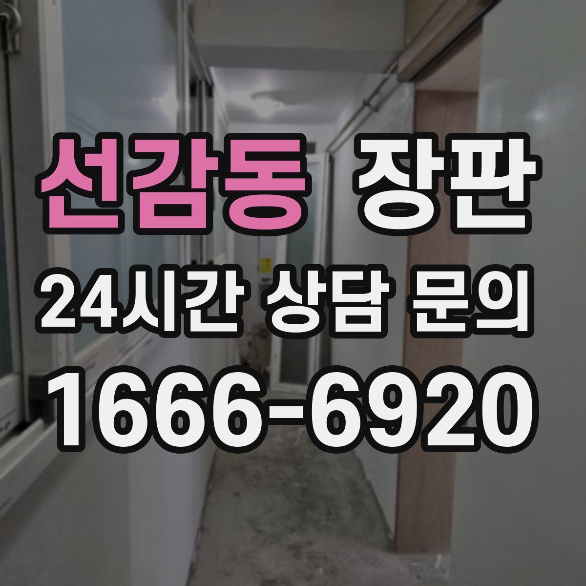 선감동 장판