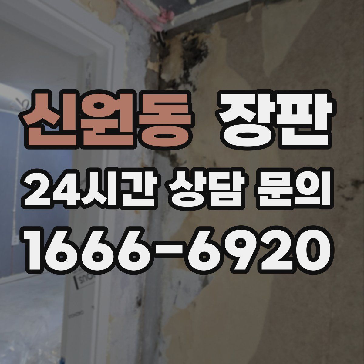 신원동 장판