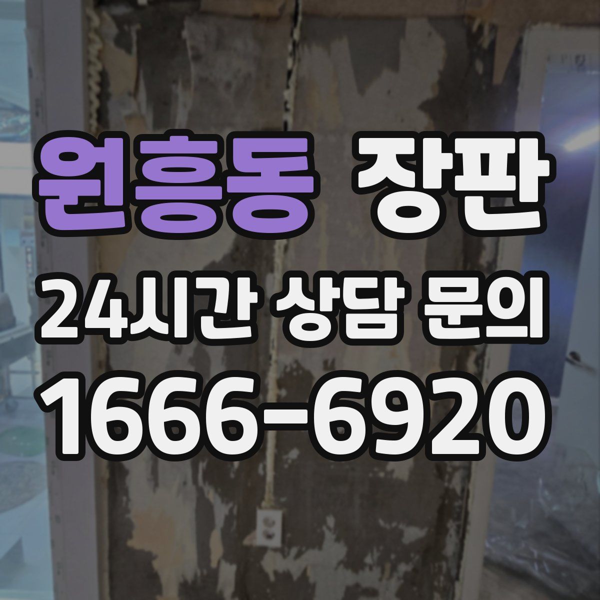 원흥동 장판