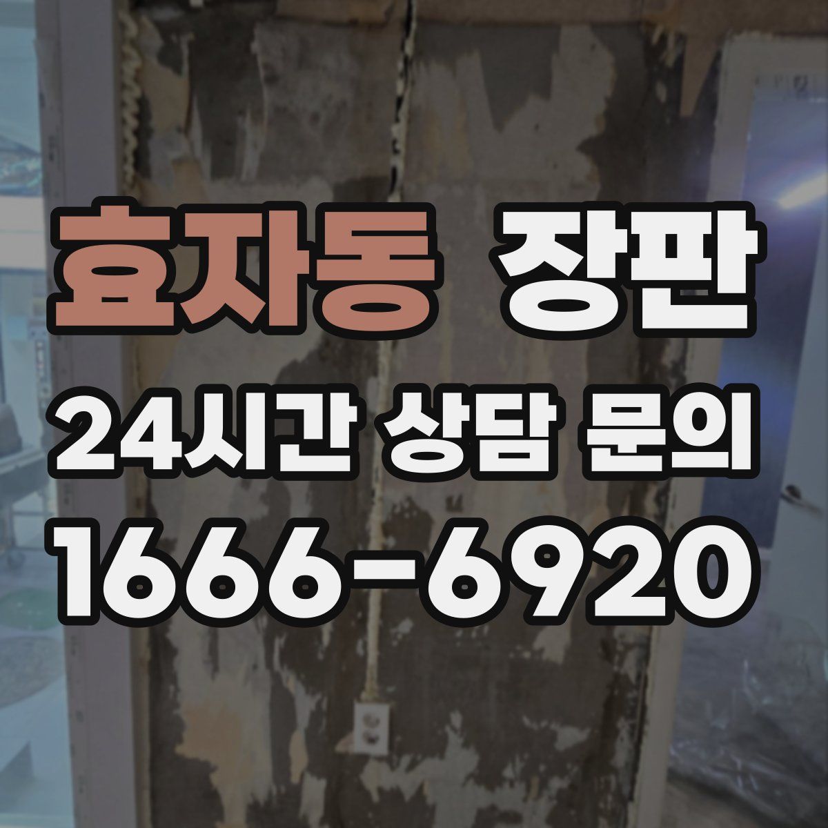 효자동 장판