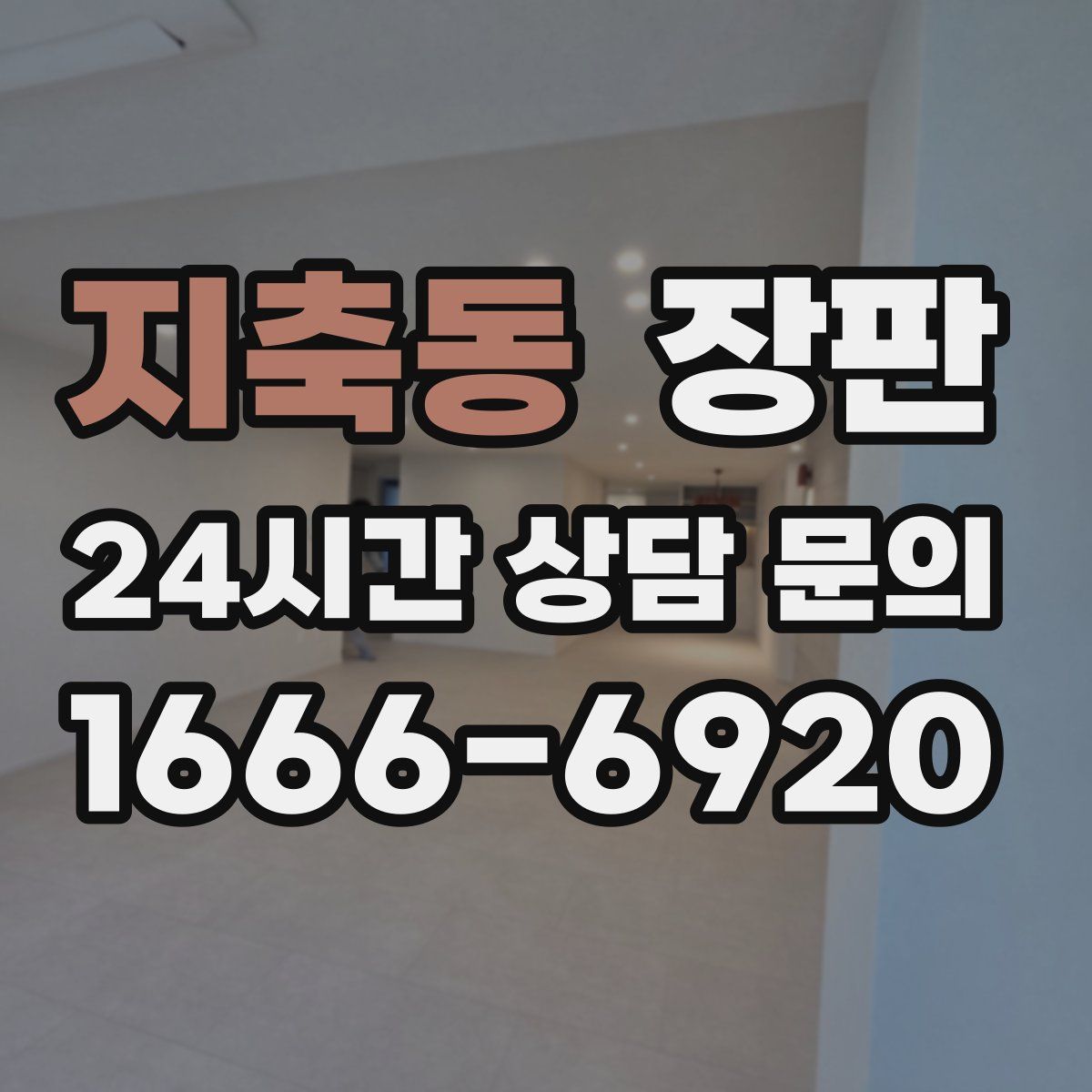 지축동 장판