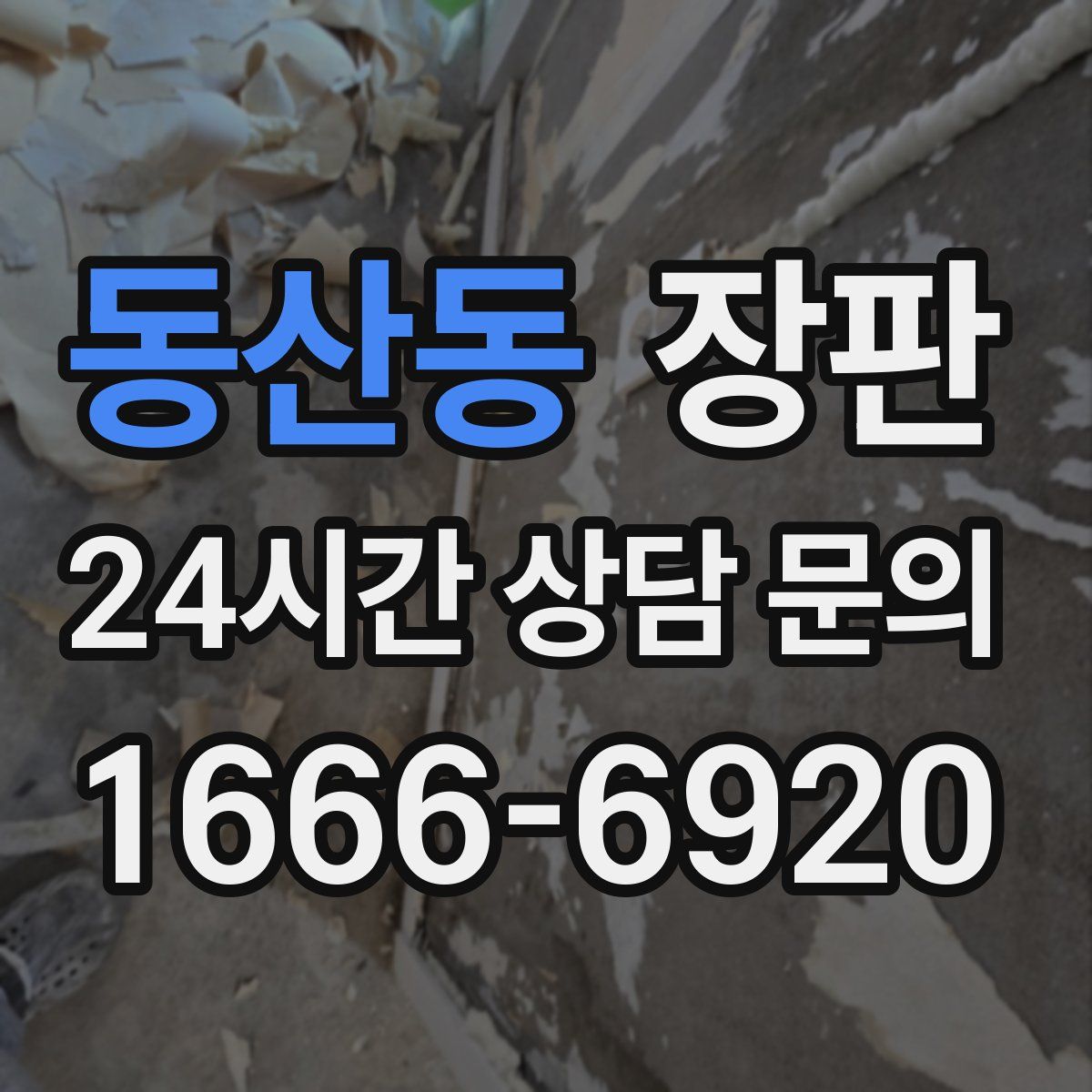 동산동 장판