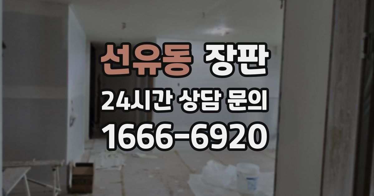 선유동 장판