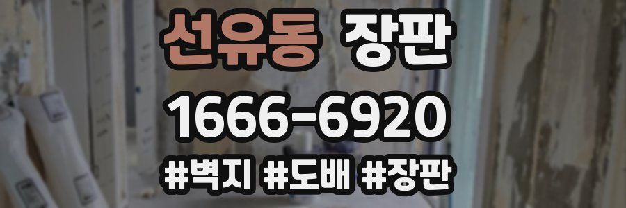 선유동 장판