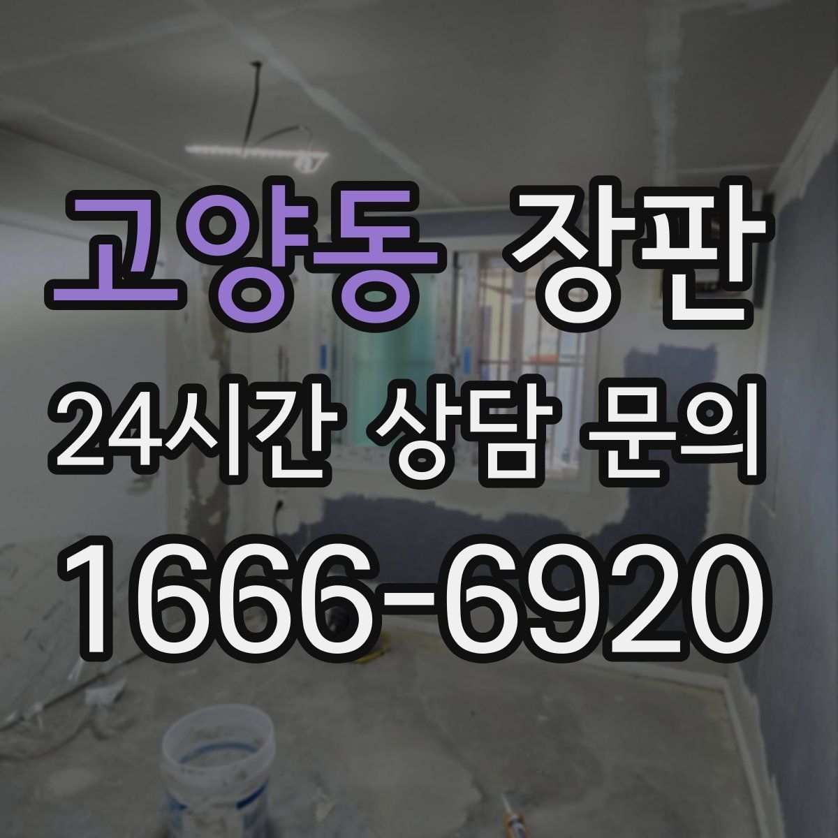 고양동 장판