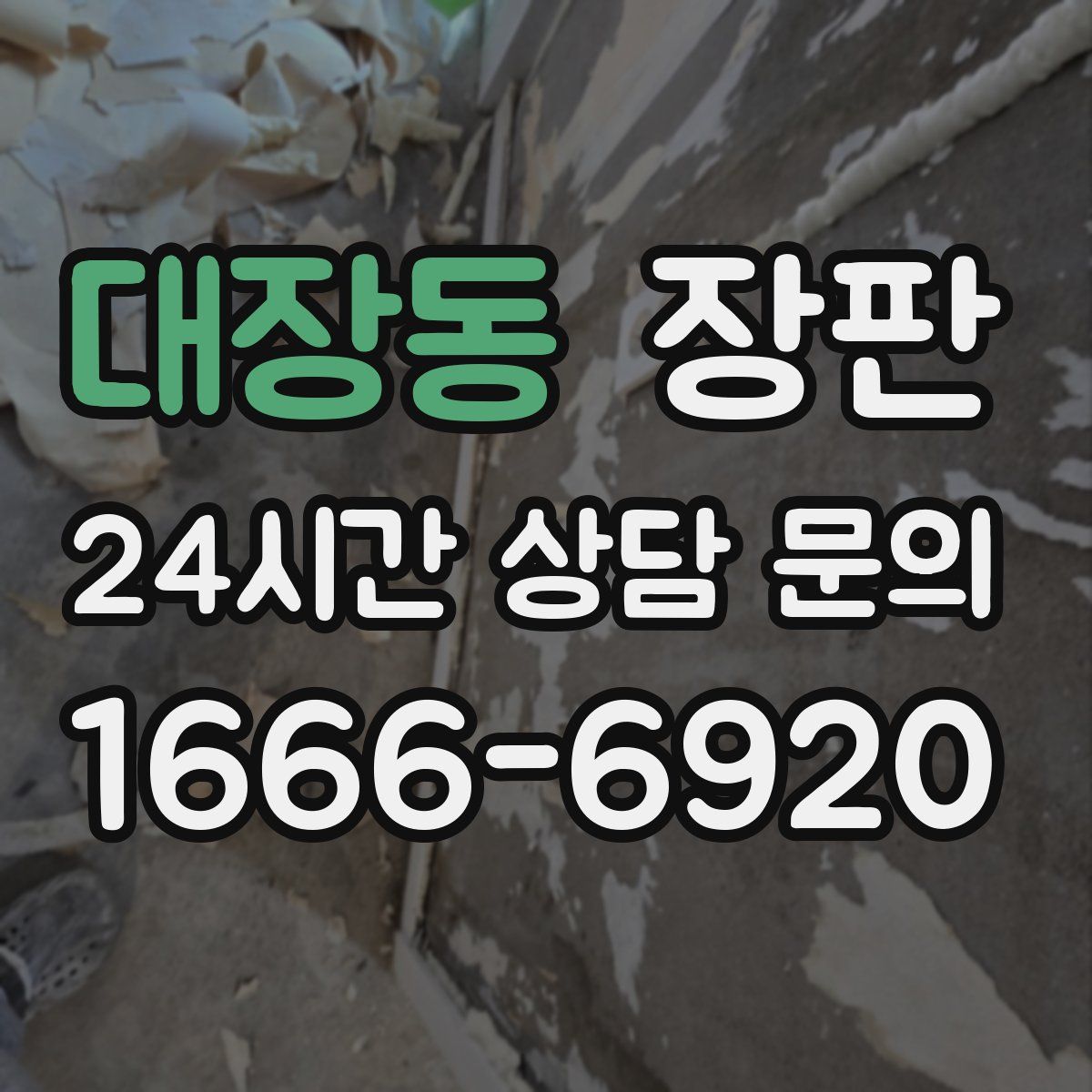대장동 장판