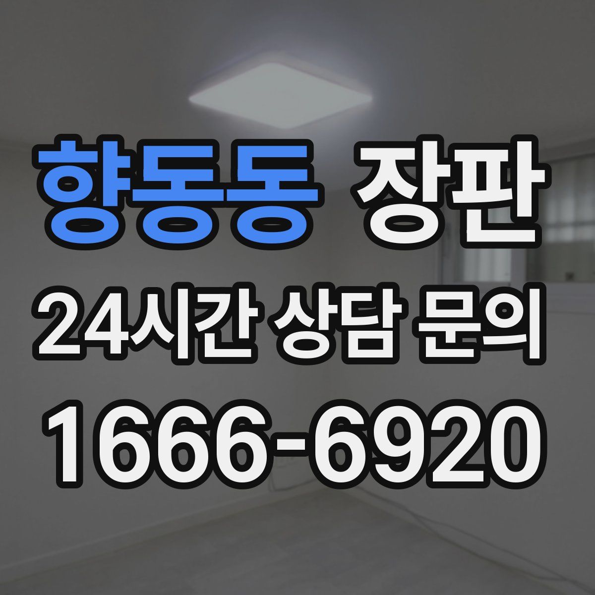 향동동 장판