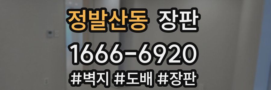 정발산동 장판
