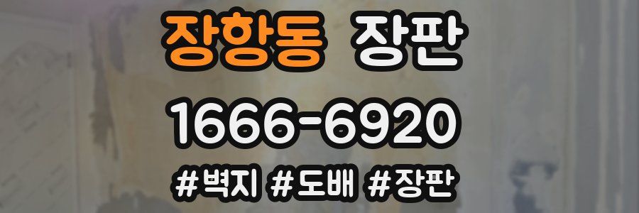 장항동 장판