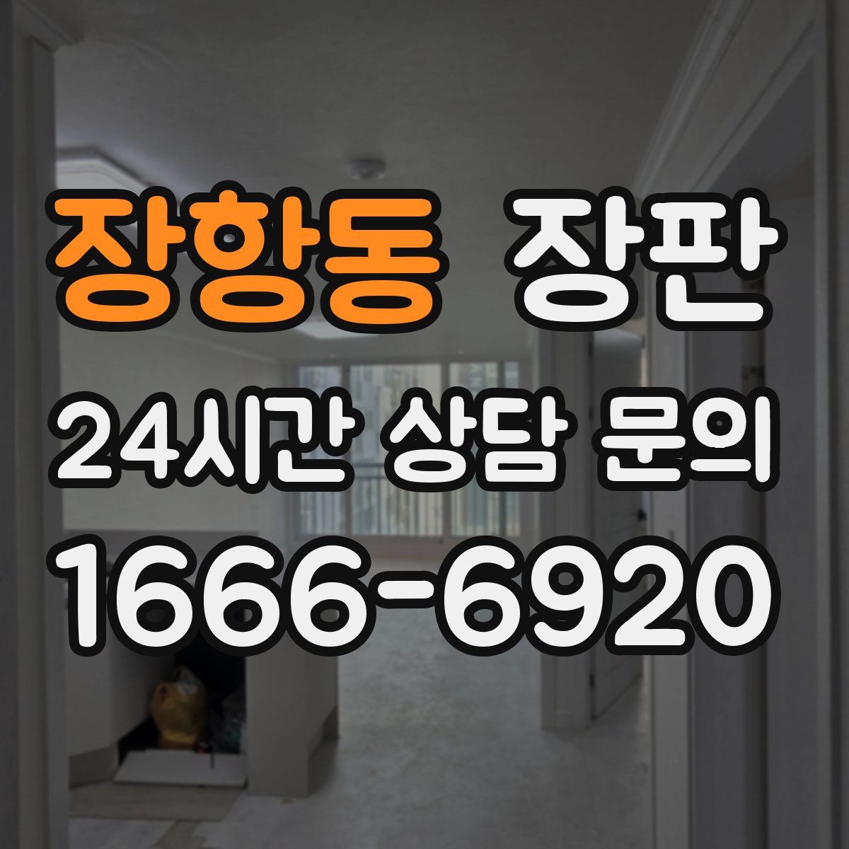 장항동 장판