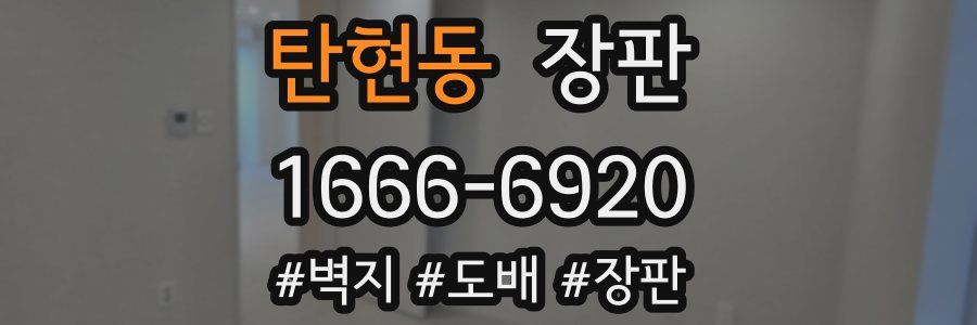 탄현동 장판