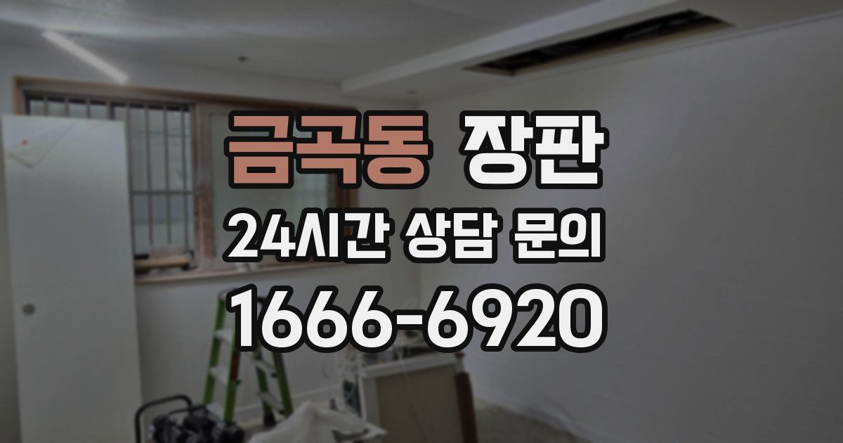 금곡동 장판