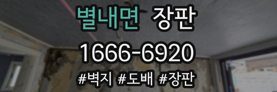 별내면 장판