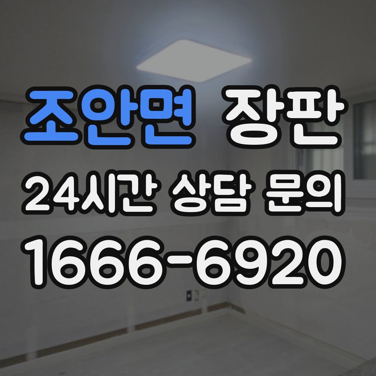 조안면 장판