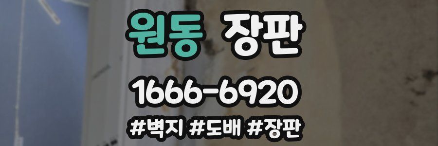 원동 장판