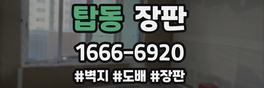 탑동 장판