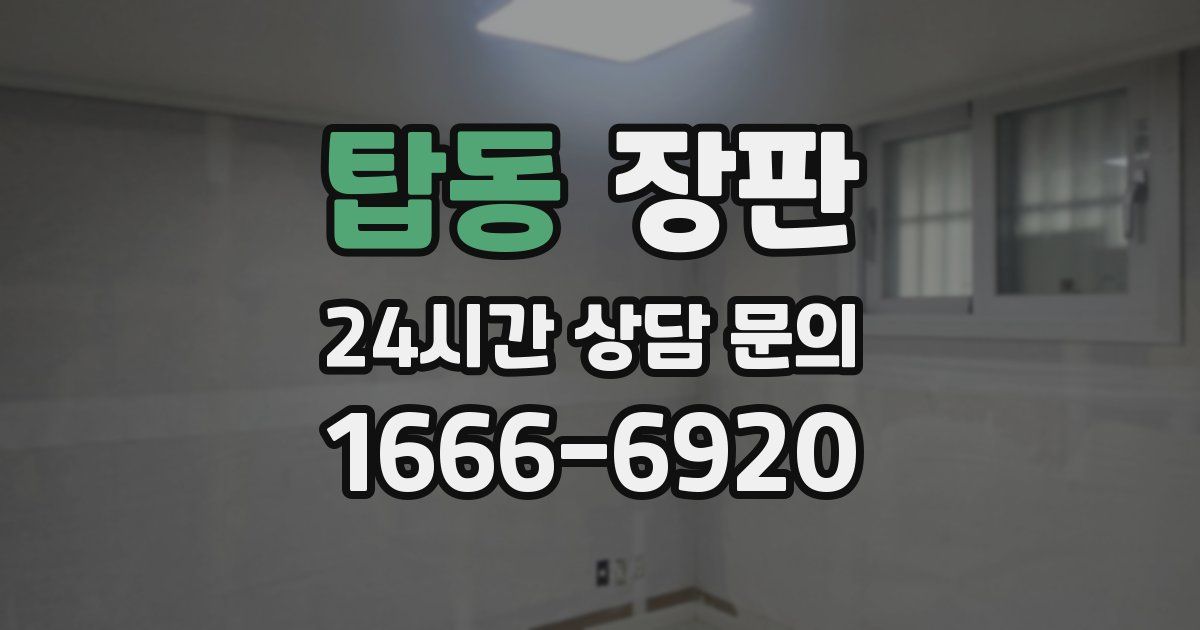 탑동 장판