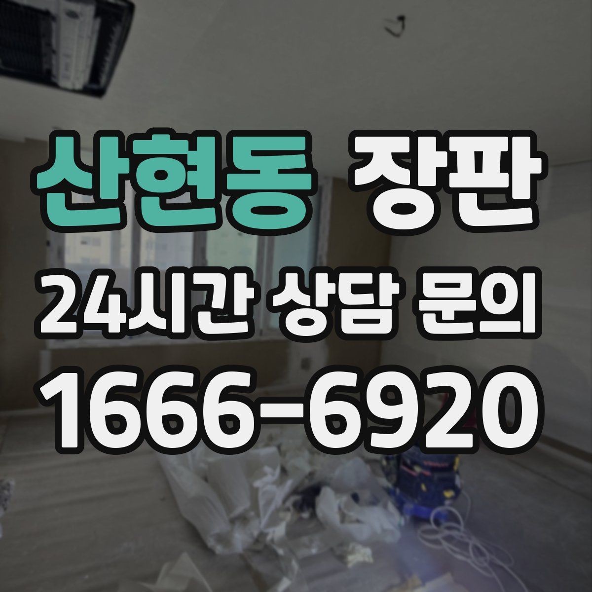 산현동 장판 반려동물 있는 집에서 고려할 점