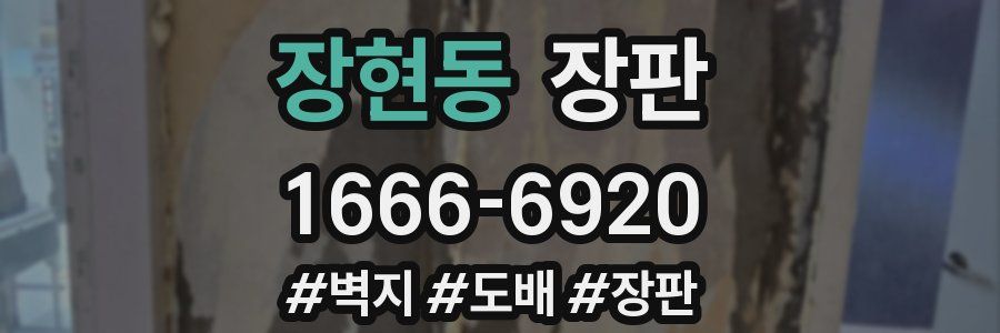 장현동 장판