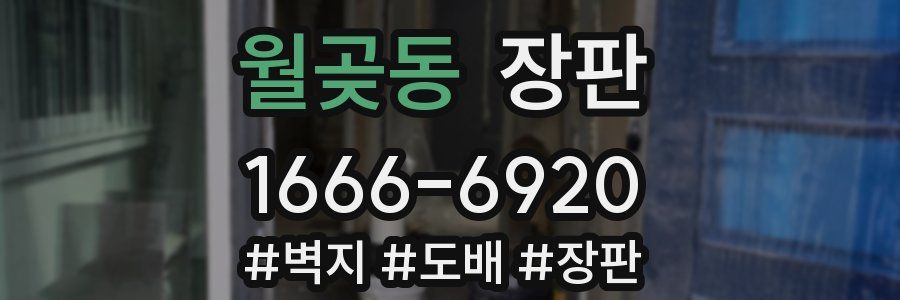 월곶동 장판