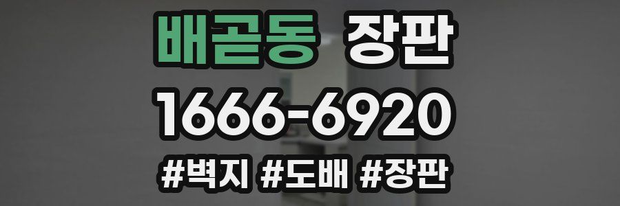 배곧동 장판