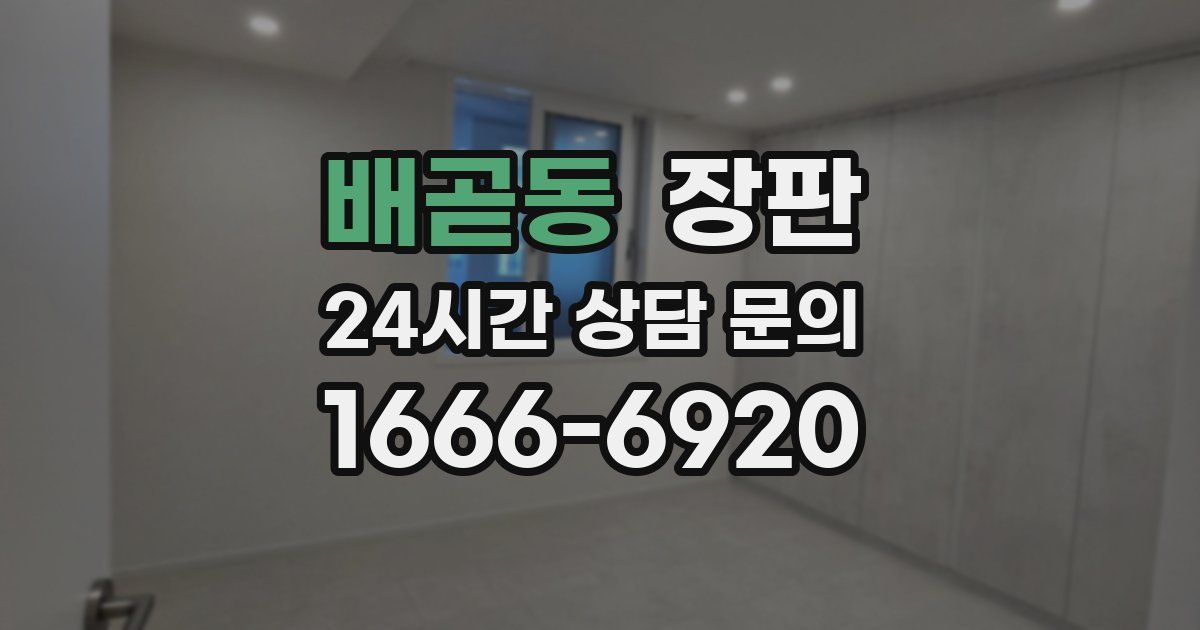 배곧동 장판