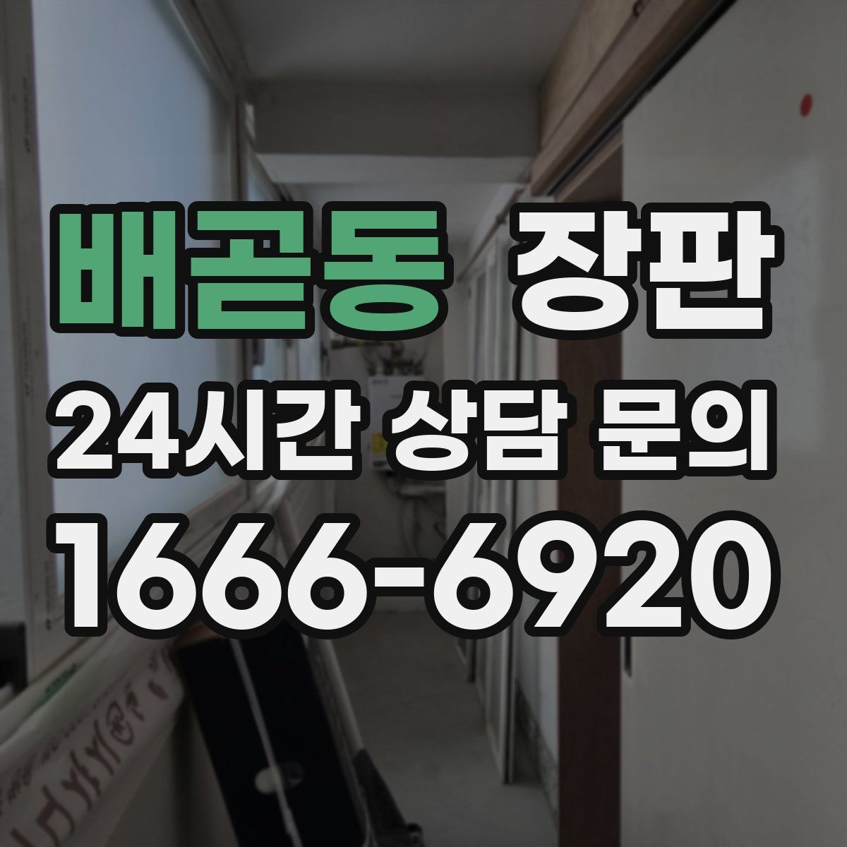 배곧동 장판