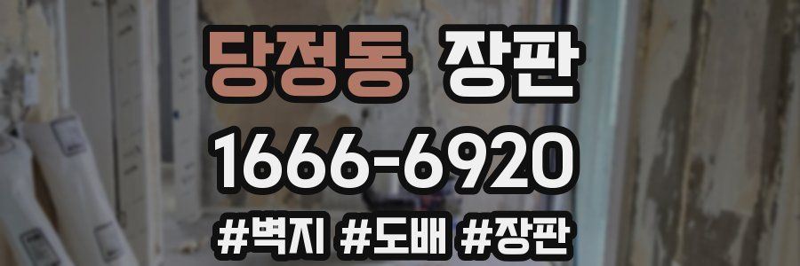 당정동 장판