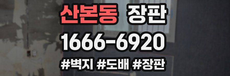 산본동 장판