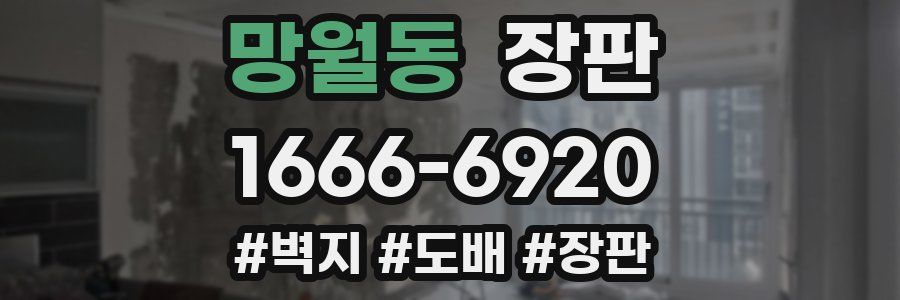 망월동 장판