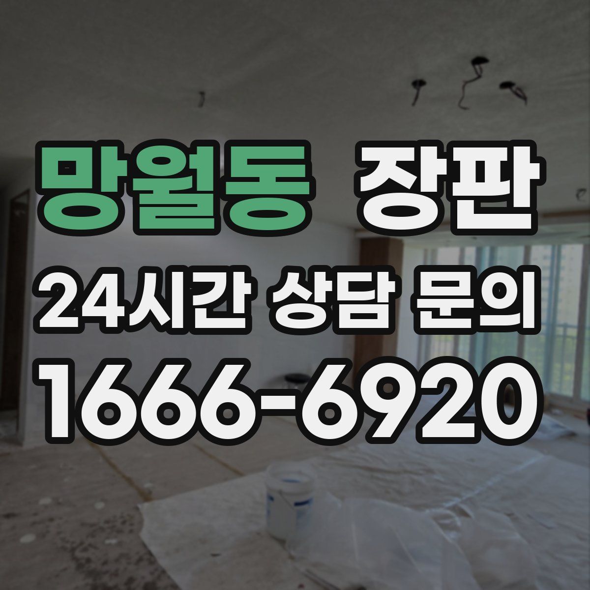 망월동 장판