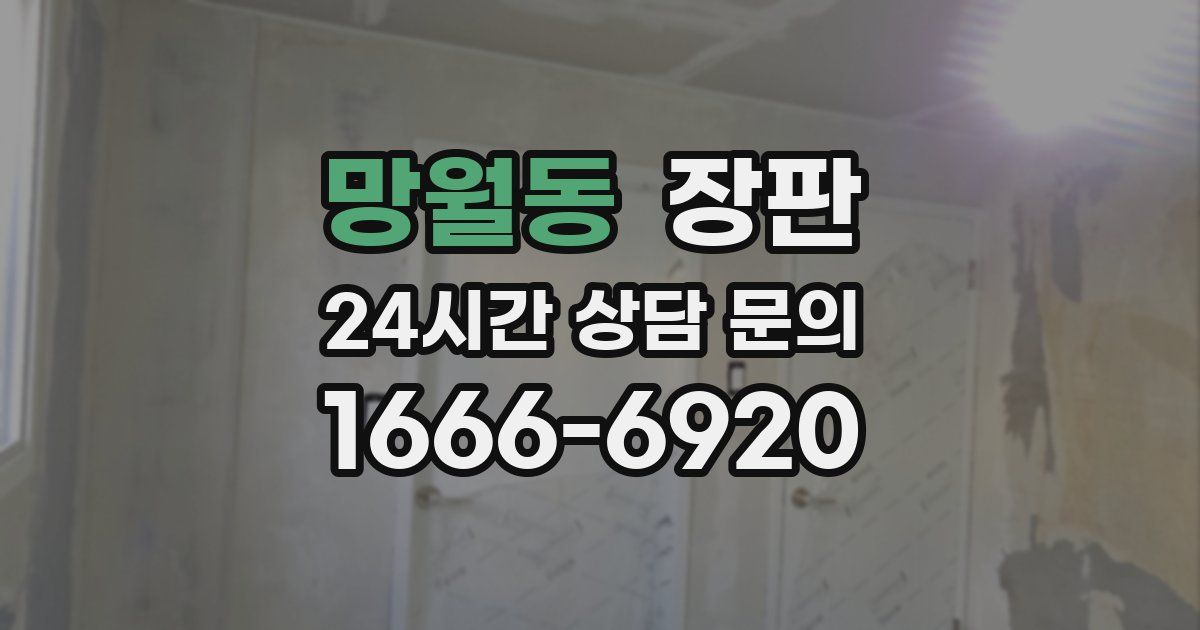 망월동 장판