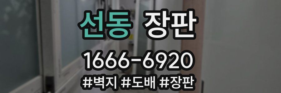 선동 장판
