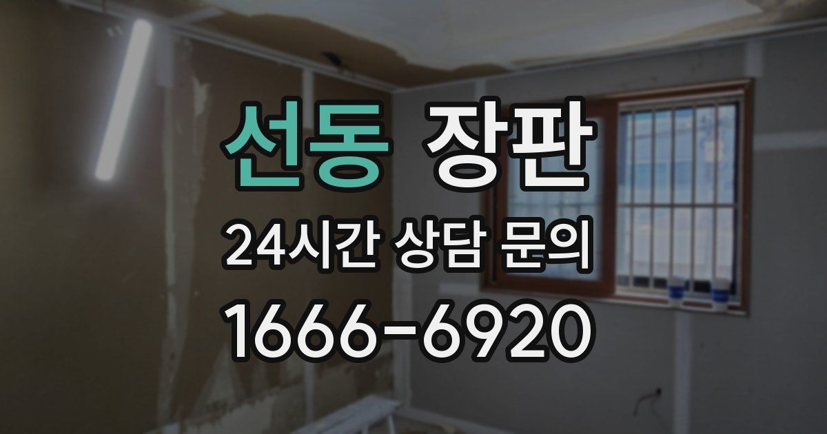 선동 장판